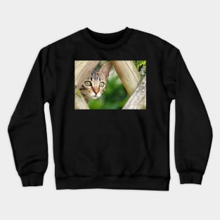 Cute Cat Crewneck Sweatshirt